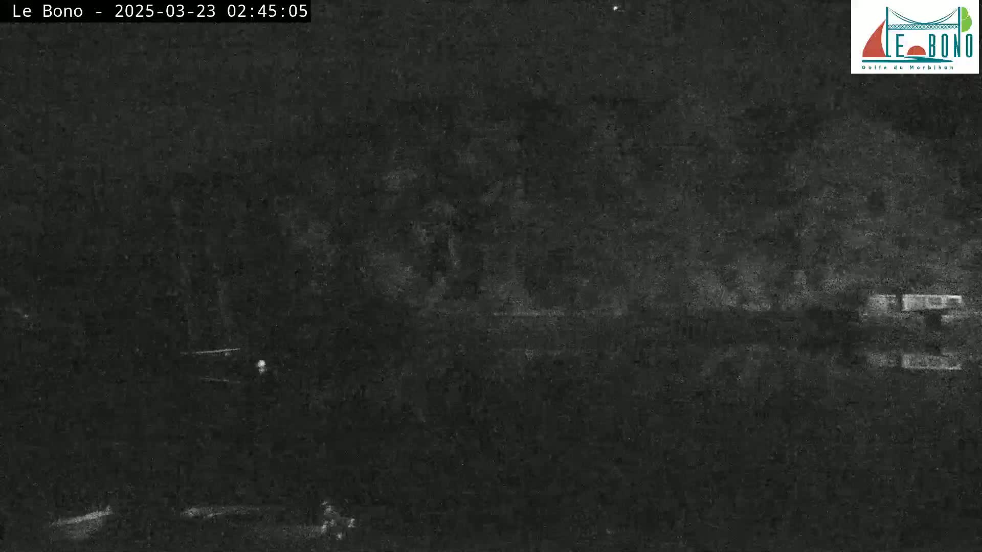 A dark, nighttime image shows a blurry, indistinct landscape under a clear sky.
