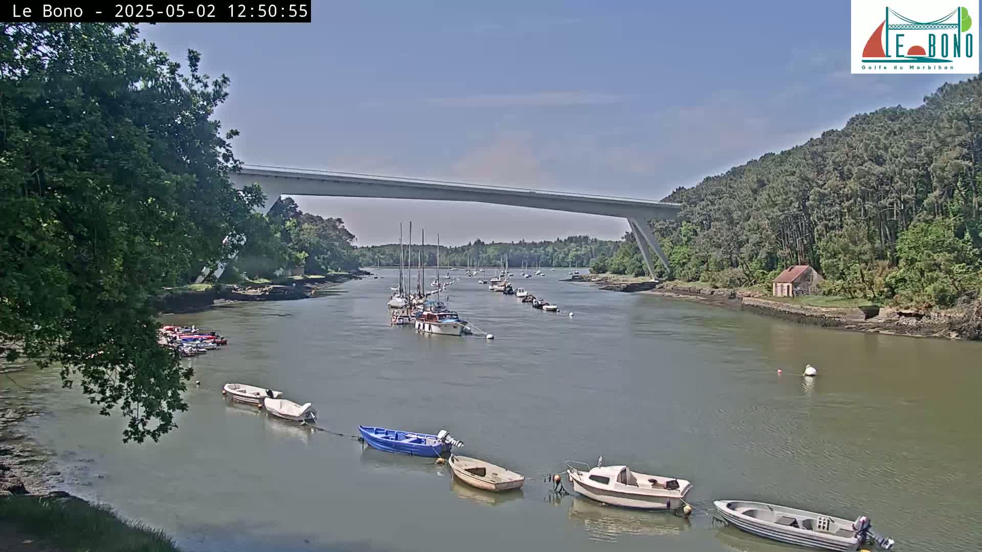 Several boats are moored in a calm river under a bridge on a sunny day, with lush green trees lining the banks.