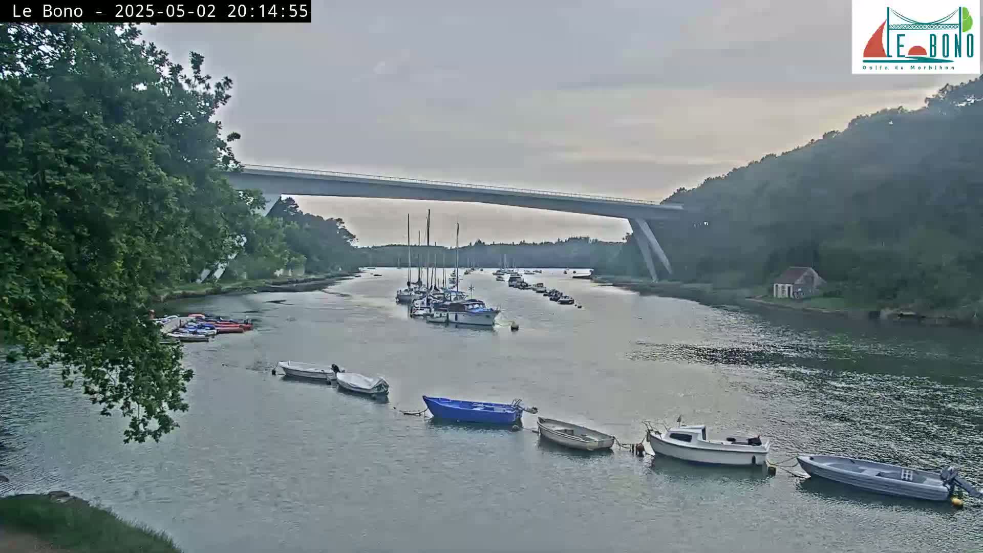 Under an overcast sky, numerous boats are moored in a calm river beneath a long, modern bridge, with lush green vegetation lining the banks.