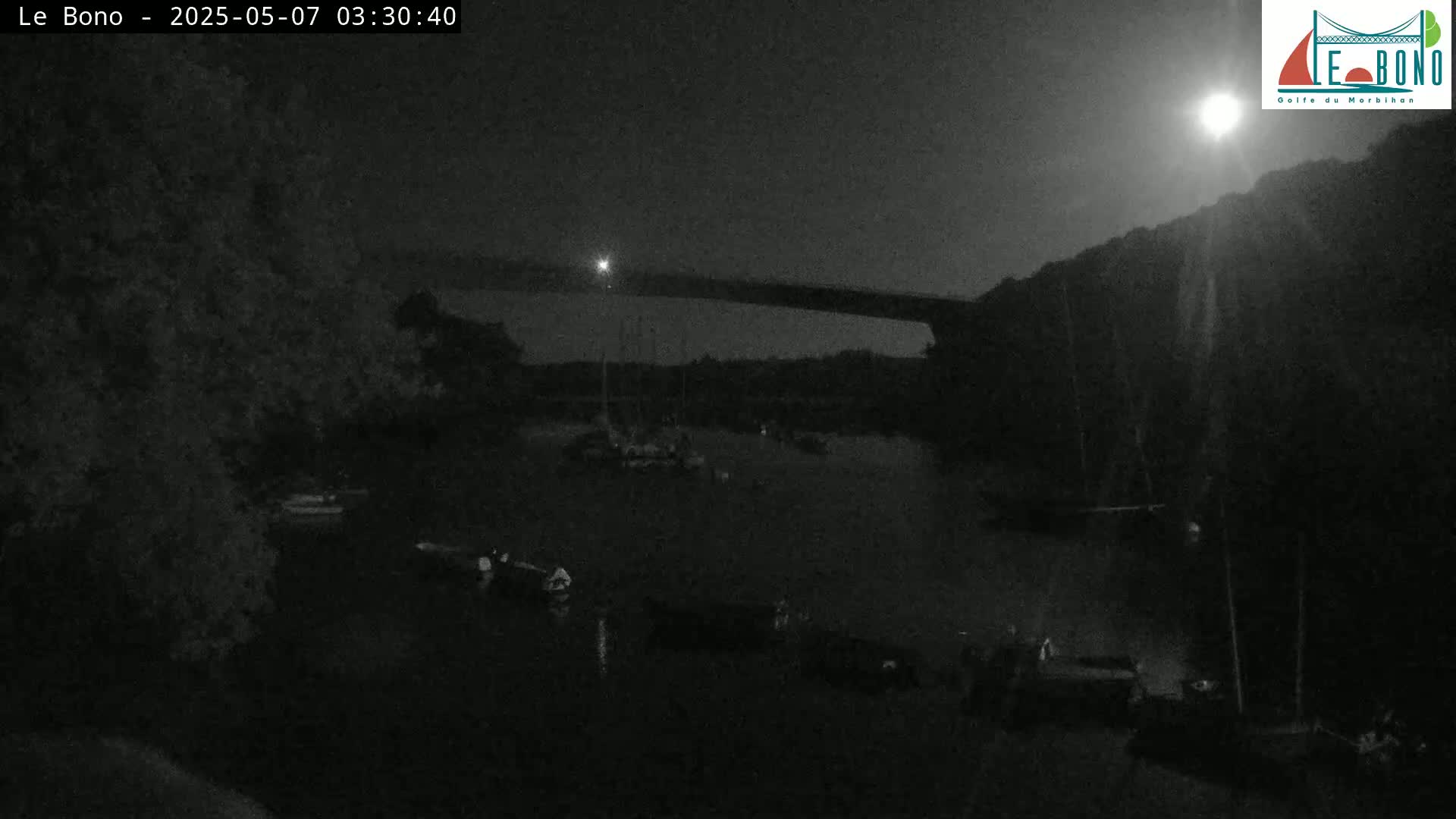 A nighttime, low-light view of a body of water with several boats moored under a bridge, illuminated by a bright moon.