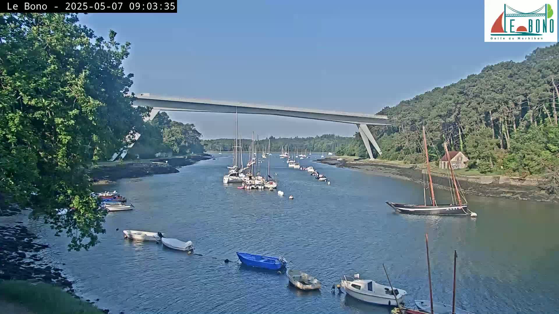 Under a clear blue sky, numerous sailboats are moored in a calm waterway that passes under a long, modern bridge, flanked by lush green trees.