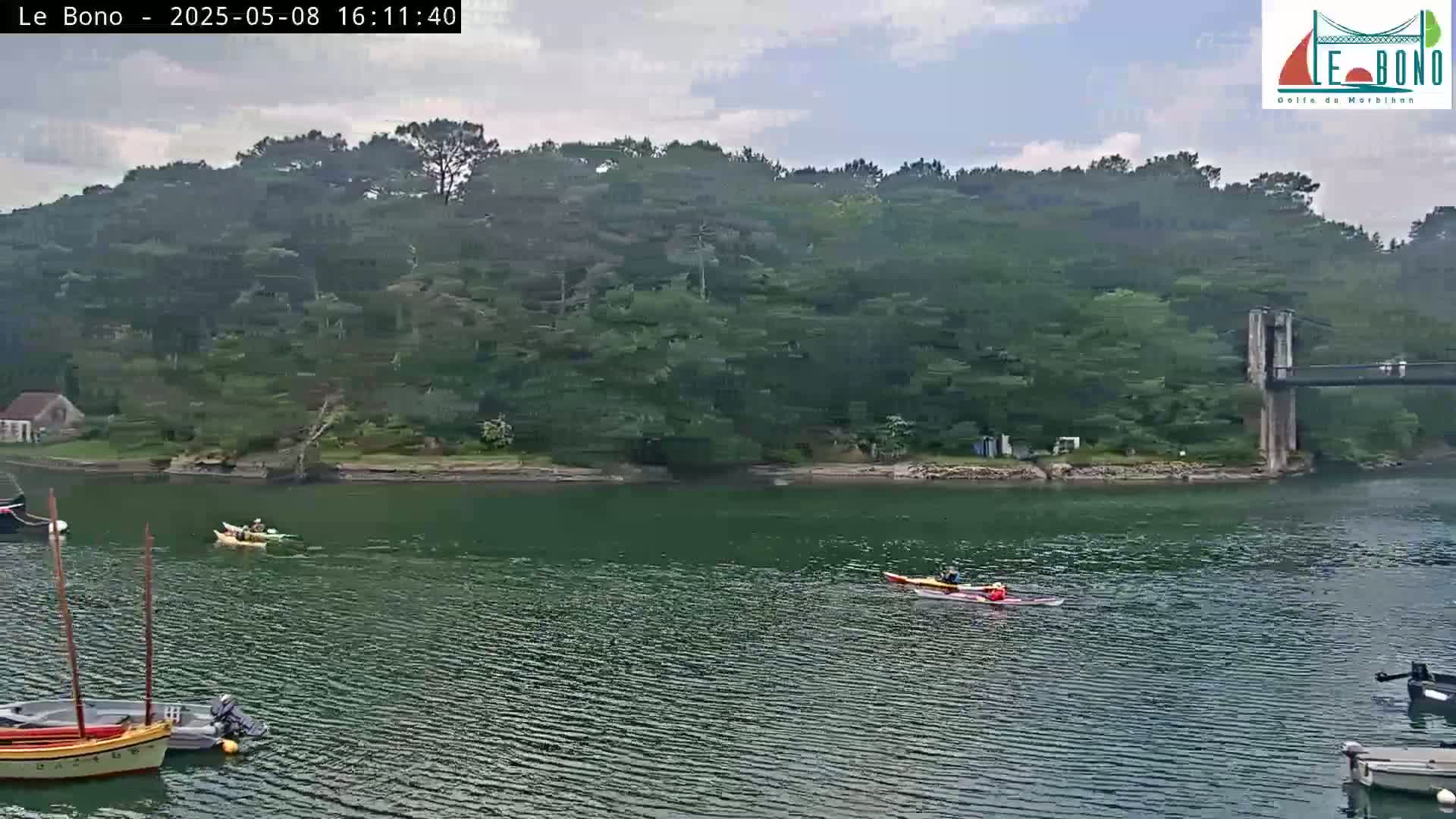 Kayakers paddle on a calm, overcast day across a body of water near a lush, green island and a suspension bridge.