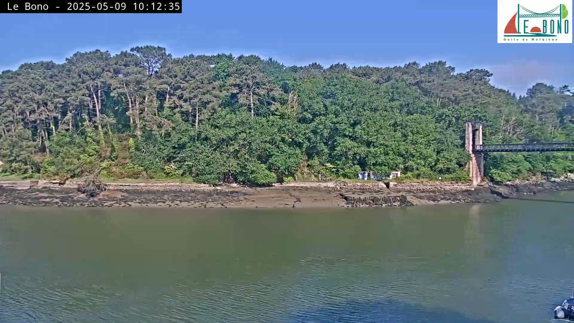 A lush green forest sits on a low-lying shoreline beside calm, murky water, with a portion of a suspension bridge visible in the distance under a clear blue sky.