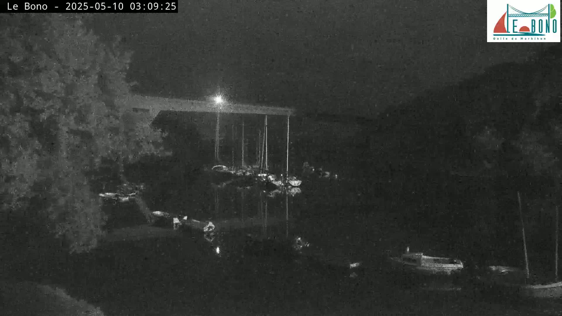 A nighttime, low-light image shows a dark body of water with several boats moored under a bridge, partially obscured by trees on the left.