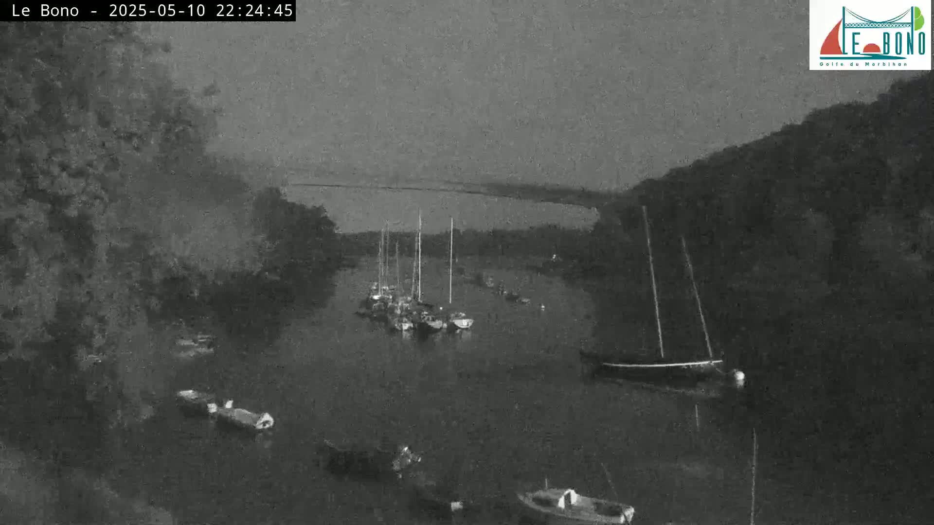 Several sailboats are moored in a dark, calm river at night, under a dusky sky.