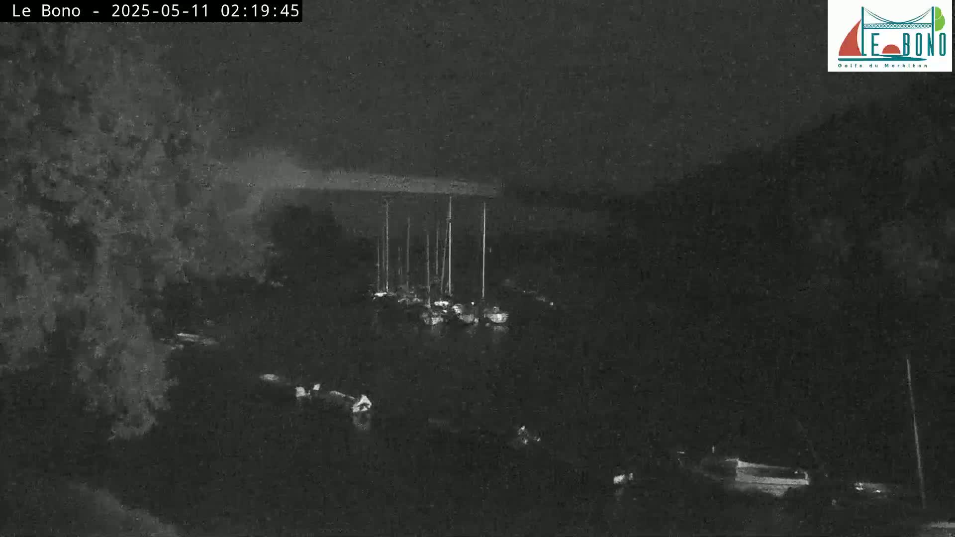 A nighttime, low-light view shows a harbor with several sailboats moored, partially obscured by trees and darkness.