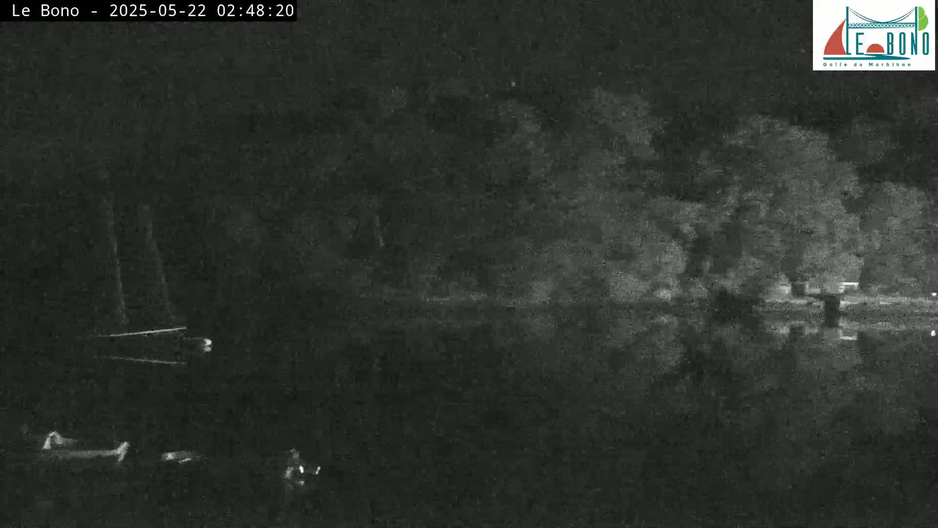 A nighttime, low-light image shows dark trees reflected in a calm body of water, with faint lights visible near the water's edge.