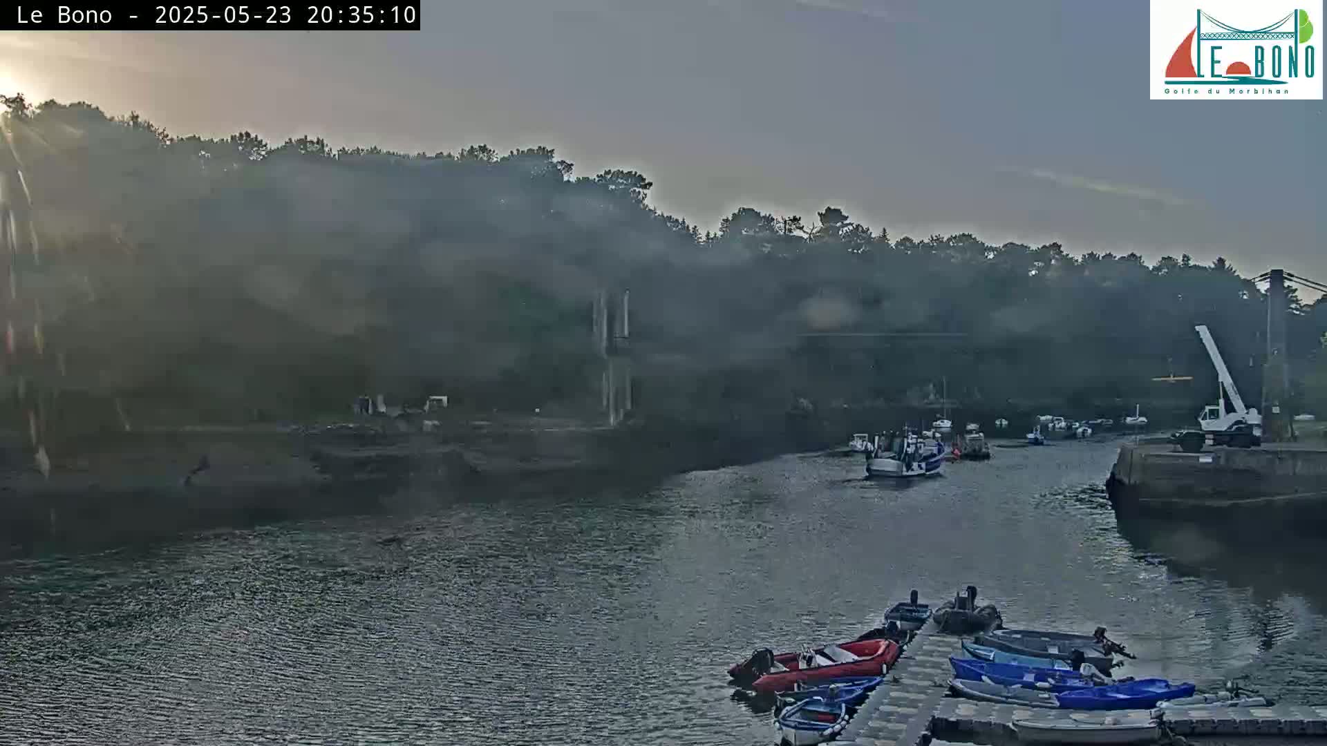 A hazy sunrise illuminates a calm waterway where several small boats are moored alongside a larger vessel, all nestled against a backdrop of dark green foliage.