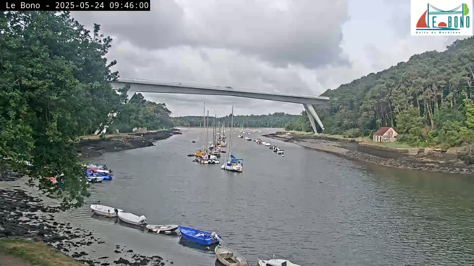 Under a cloudy sky, numerous sailboats and motorboats are moored in a calm river that passes under a long, modern bridge, lined by lush green trees and rocky banks.