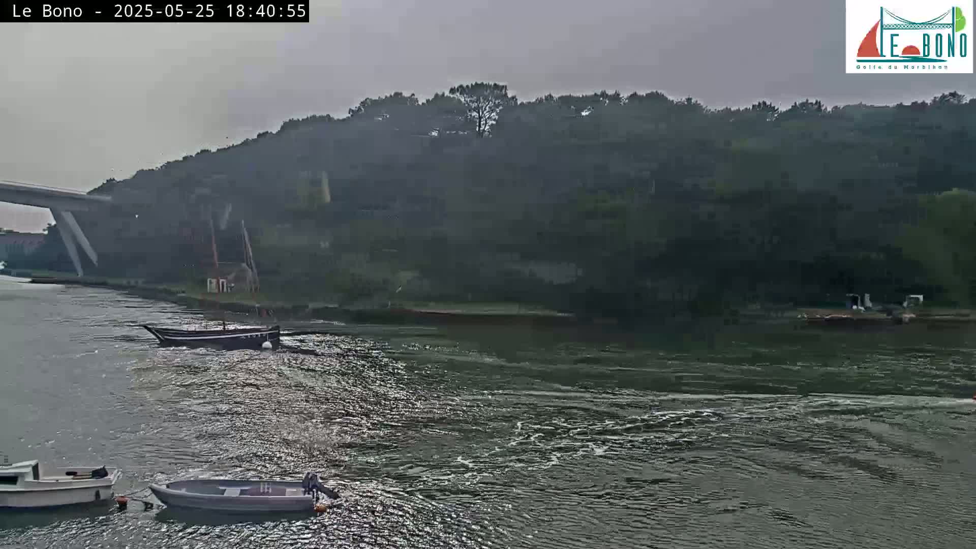 Several small boats are on a calm, gray-toned body of water, near a bridge and a lush green hillside under an overcast sky.