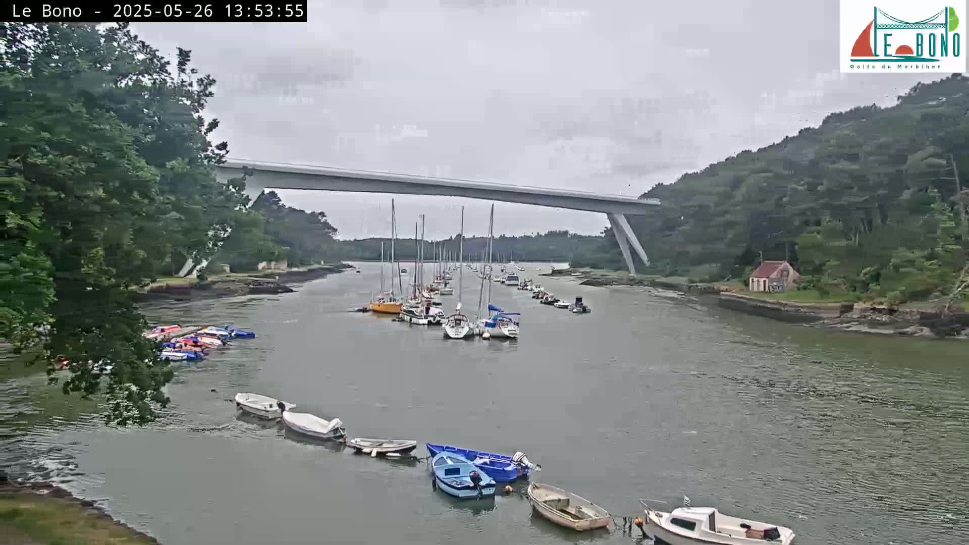 Numerous boats are moored in a calm waterway under an overcast sky, with a long bridge spanning the riverbank, which is lined with lush green trees.