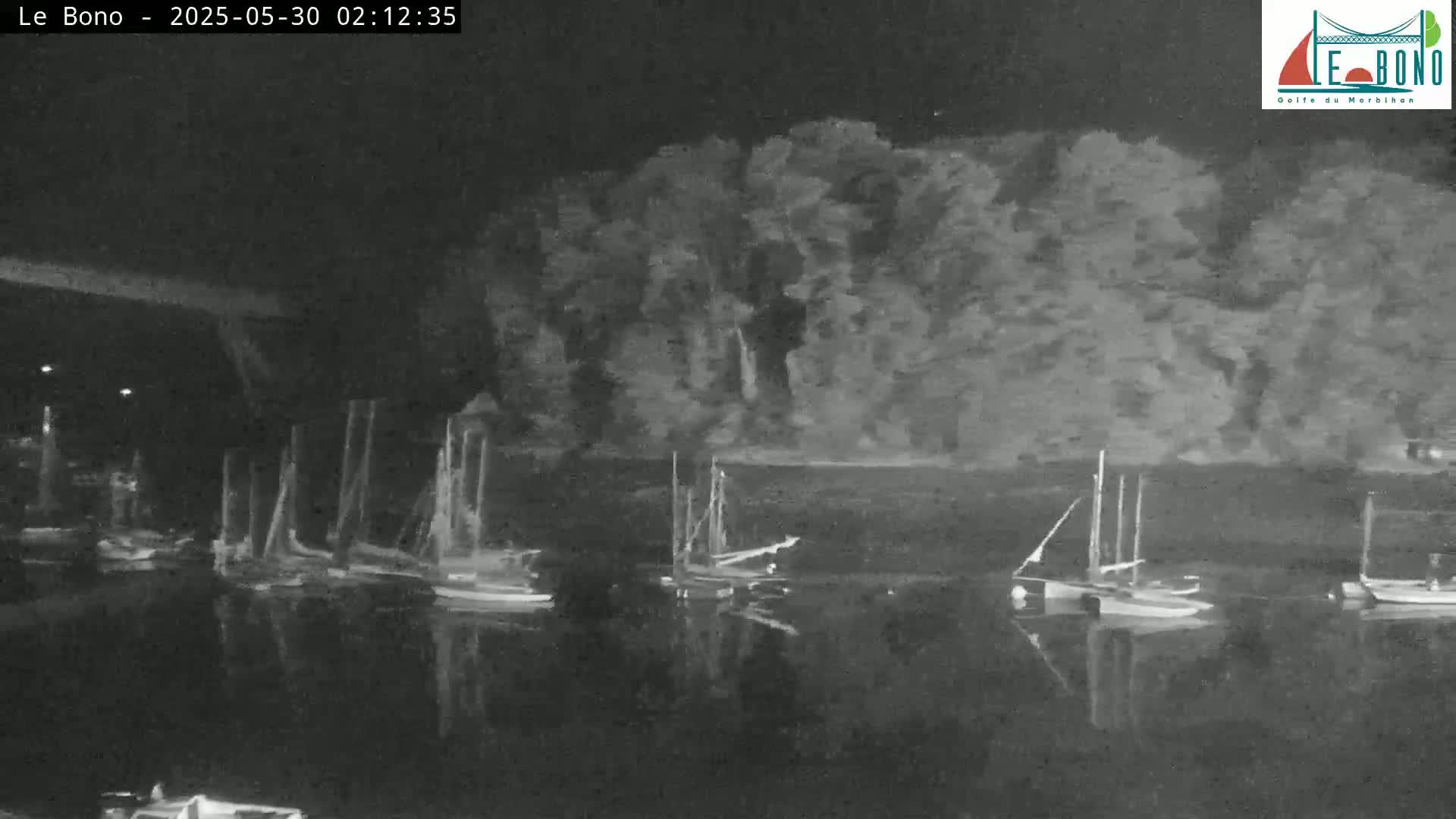 Several sailboats are moored in calm, dark water at night under a dark sky, with a line of trees visible on the far shore.