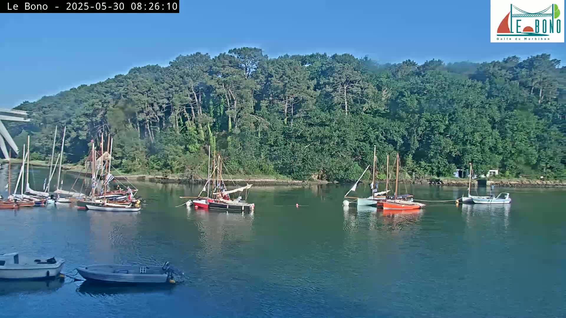 Several sailboats are moored in calm water next to a lush green shoreline on a sunny day.