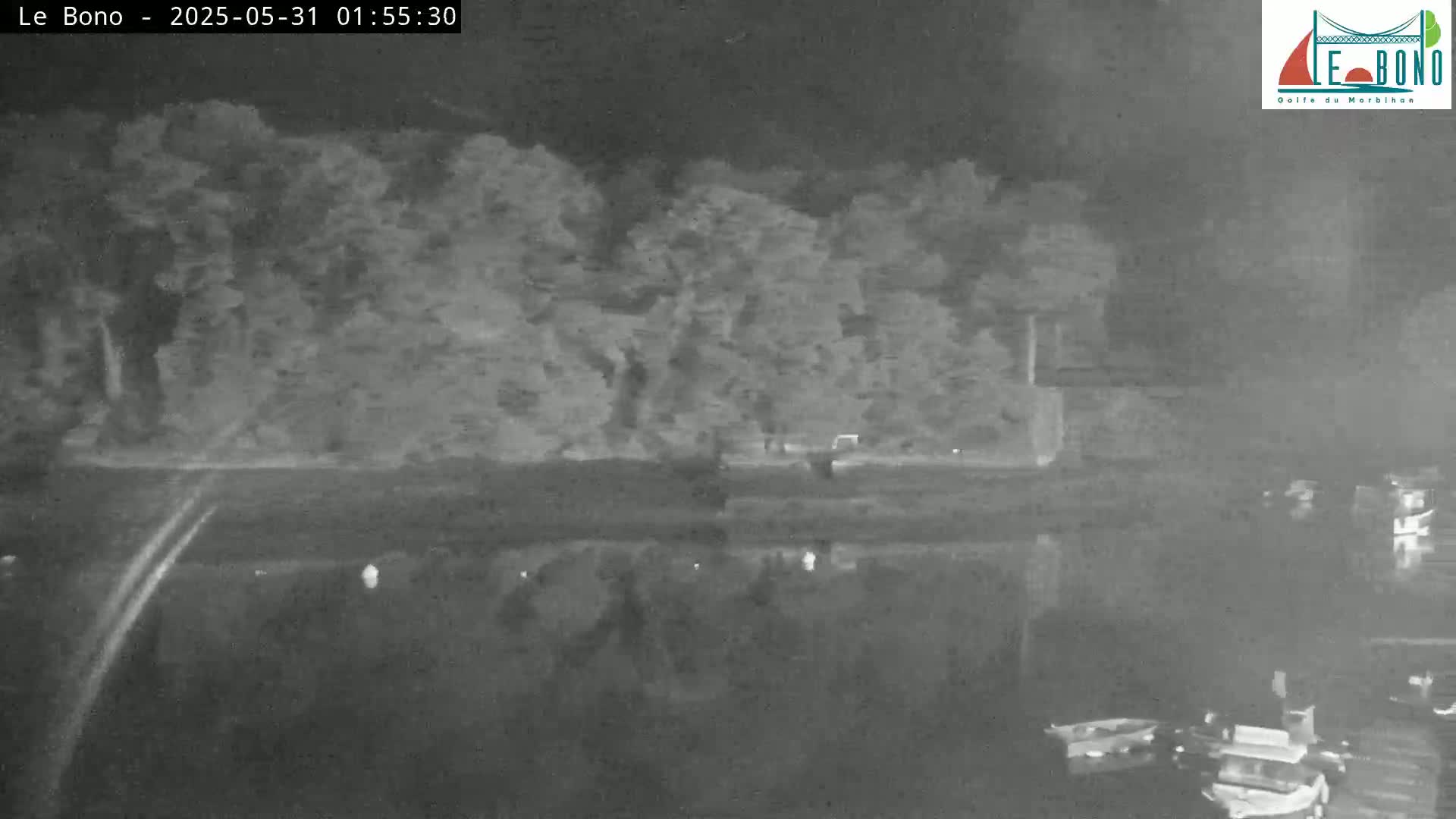 A nighttime, low-light image shows a body of water with several boats moored near a tree-lined shore.