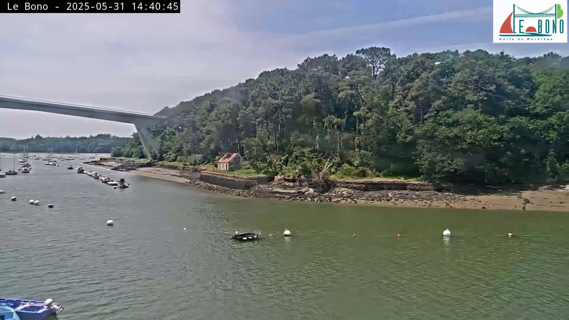 A body of water with several boats is seen under a bridge, next to a shoreline with a small house and lush green trees under a mostly sunny sky.