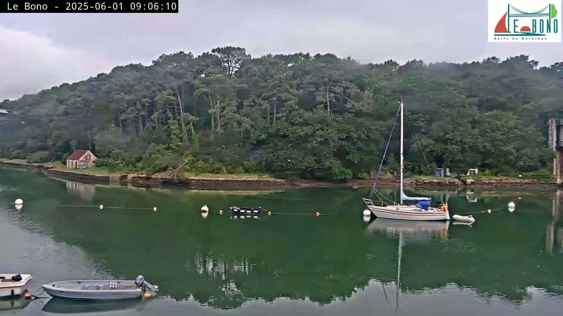 A sailboat and several smaller boats are moored in calm, green water next to a wooded shoreline with a small house, under an overcast sky.