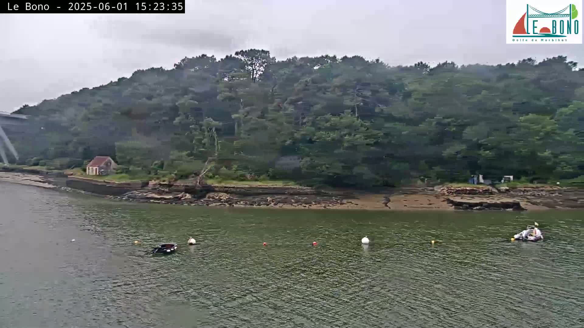 A small, calm body of water with a few boats and buoys near a rocky shoreline, backed by lush green trees under an overcast sky.