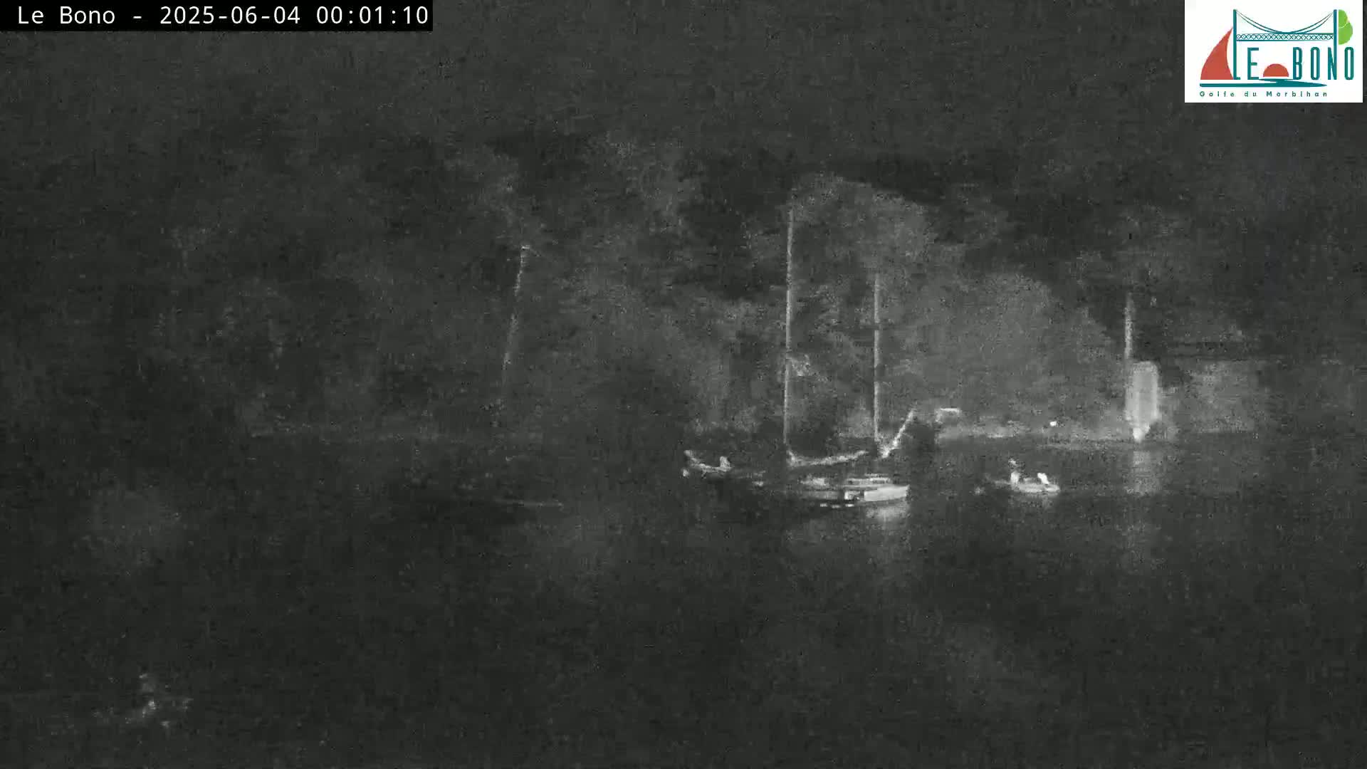 At night, several sailboats are moored in calm water near a shoreline.