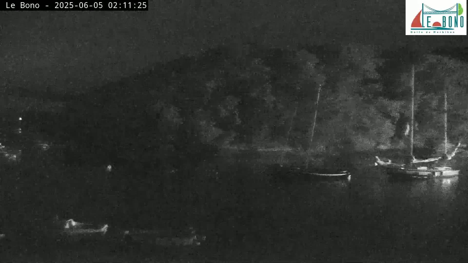 A nighttime, low-light image shows several boats moored on dark water in front of a dark shoreline with trees.