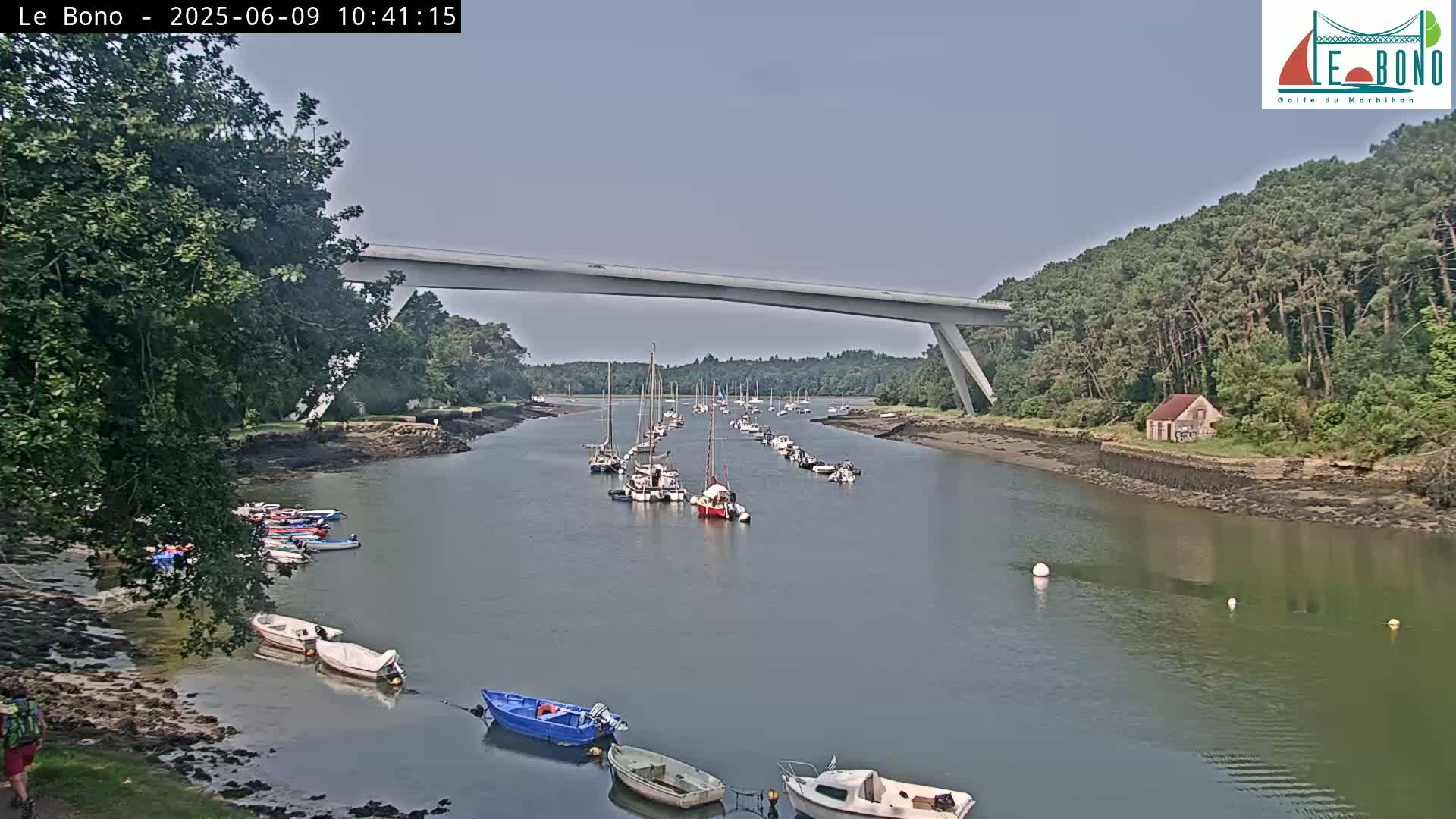 A calm river with numerous small boats and sailboats under a modern bridge on a mostly sunny day.