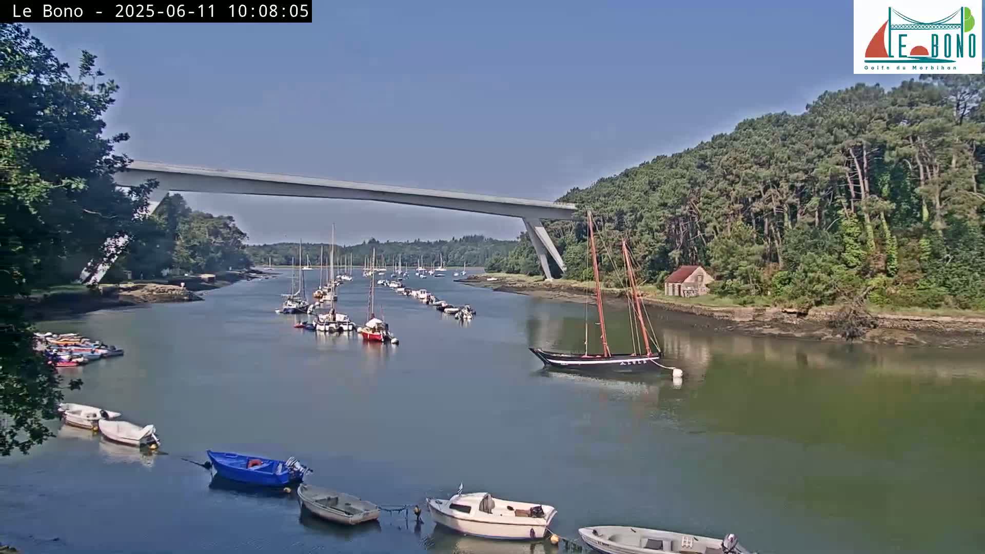 A calm river scene on a sunny day shows numerous boats moored along the banks and under a modern bridge, with a line of trees on the far bank.