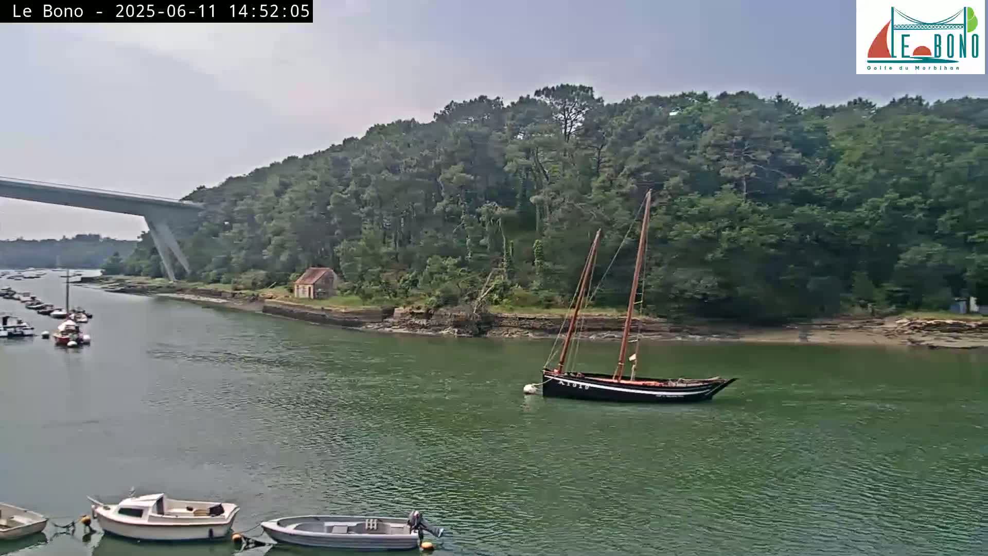 A sailboat is moored in a calm, green waterway under a mostly cloudy sky, with several other small boats nearby and a bridge in the background, surrounded by lush green trees.