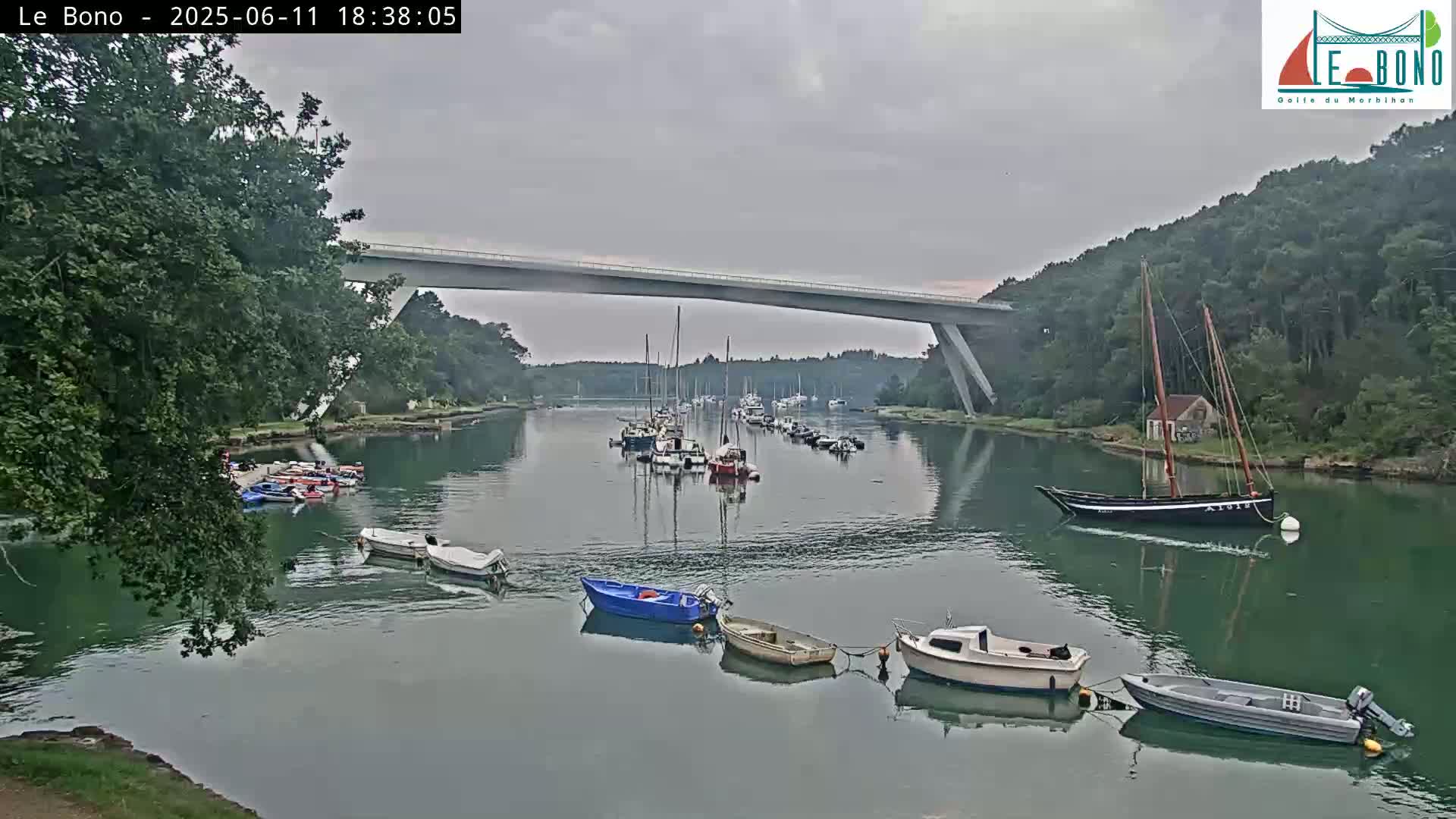 A calm, overcast day reveals numerous boats moored in a waterway beneath a long bridge, nestled between verdant hillsides.
