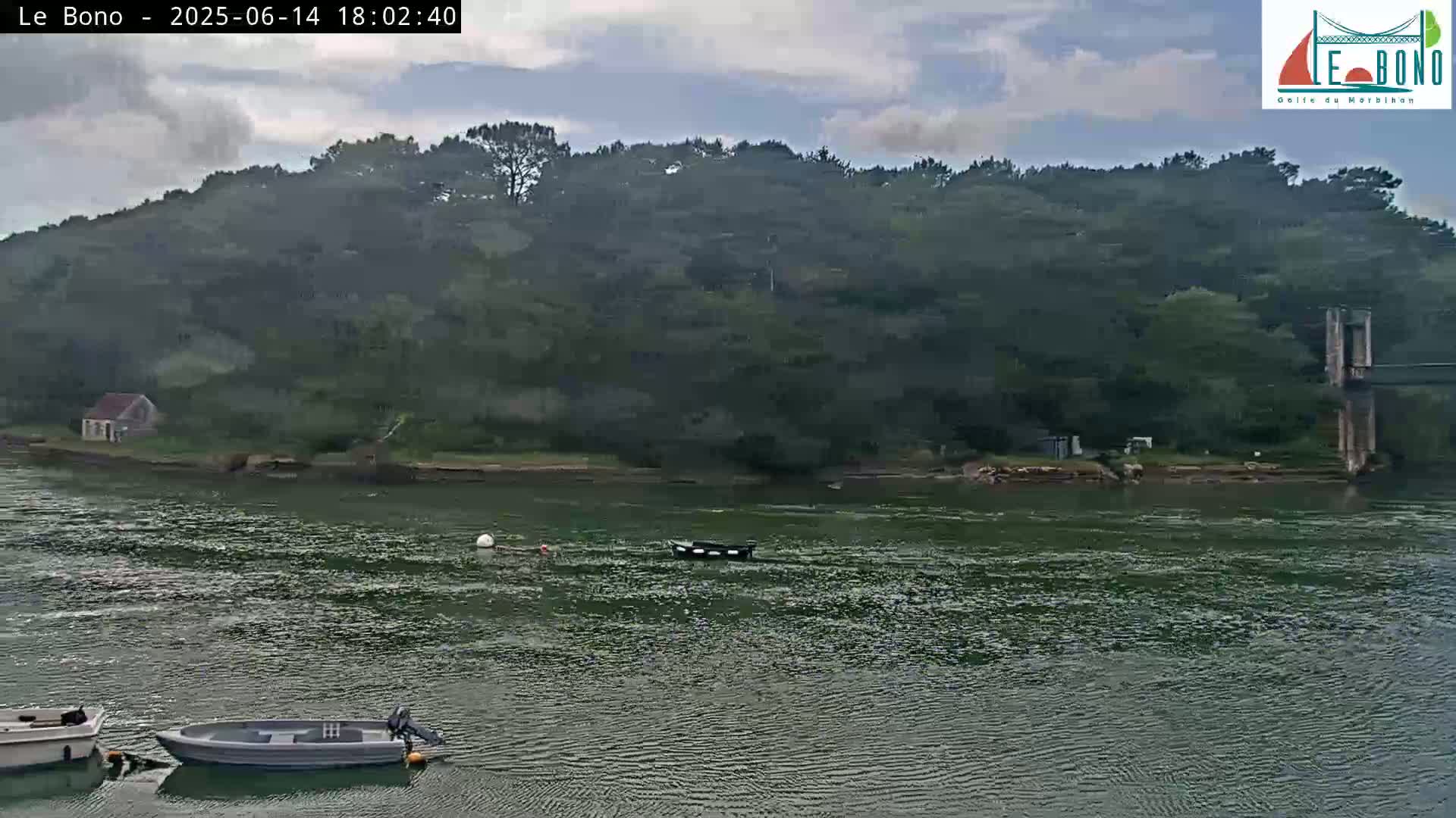 Several small boats are on a river beside a lush, green hill under a partly cloudy sky.