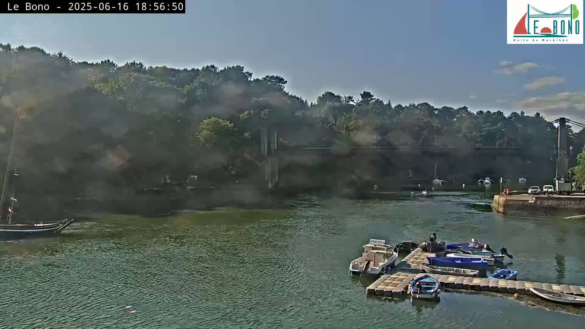 A calm body of water with several boats moored at a dock, nestled against a verdant hillside under a clear, sunny sky.