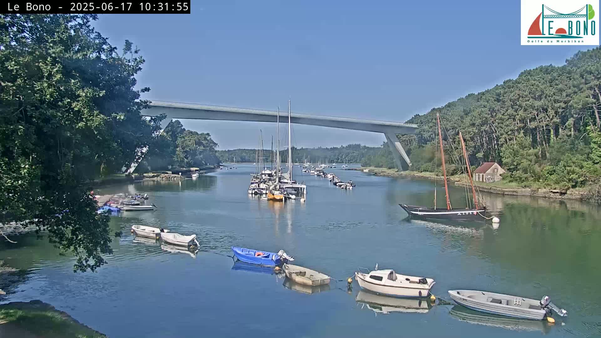 A calm, sunny day shows numerous sailboats and motorboats moored in a waterway under a bridge, with green trees lining the banks.