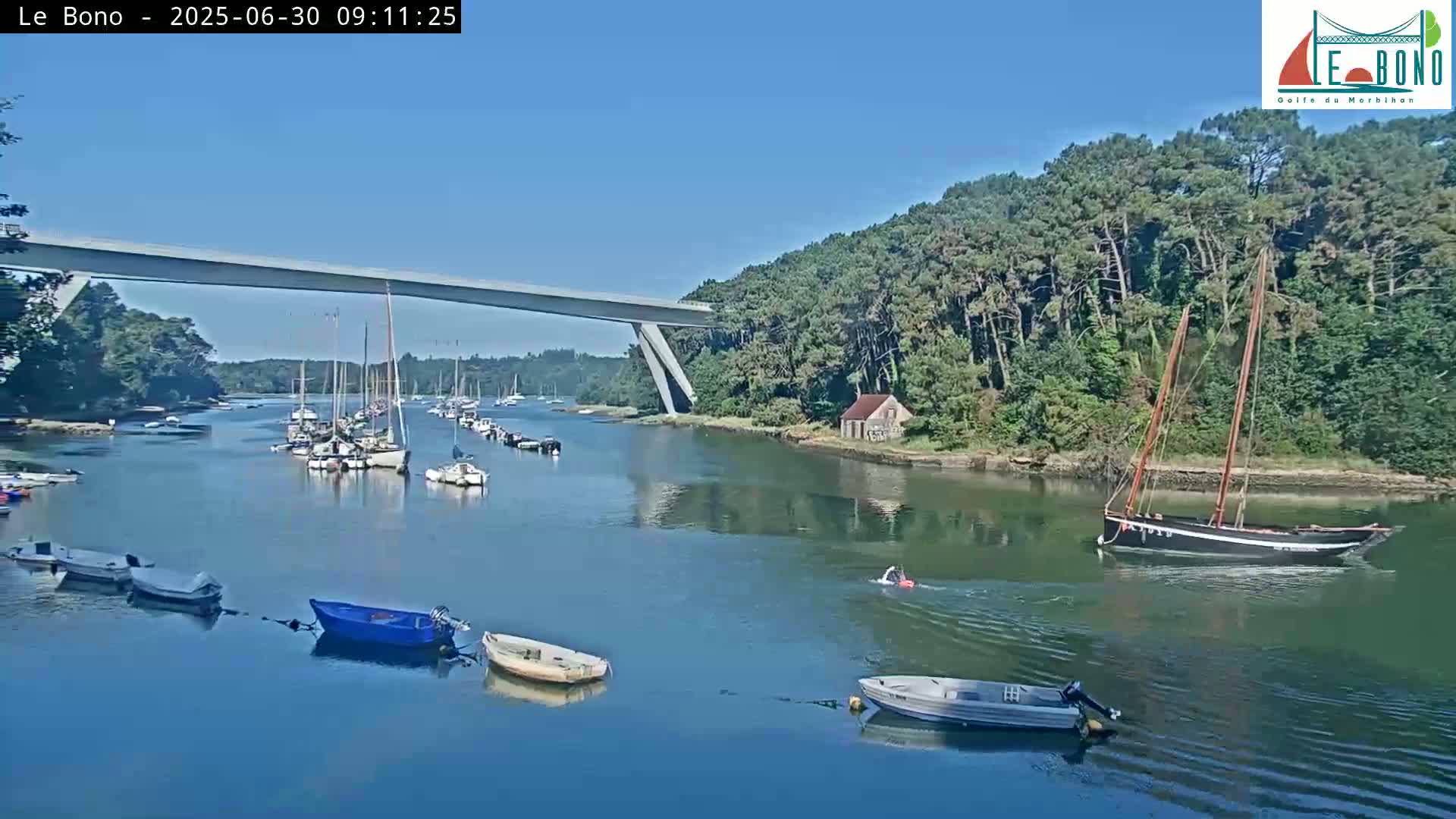 A calm waterway with numerous sailboats and motorboats is seen under a clear blue sky, with a modern bridge spanning the waterway and a line of trees along the shore.