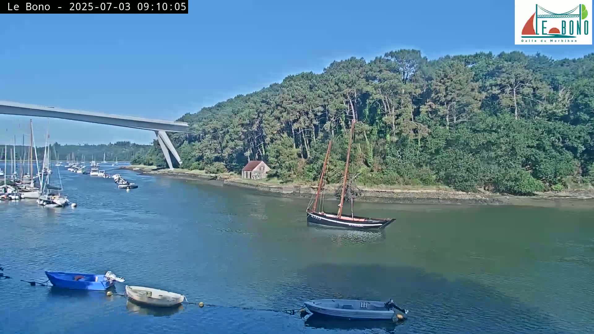 A calm body of water shows several small boats and a larger sailboat near a wooded shore under a clear blue sky, with a bridge visible in the distance.
