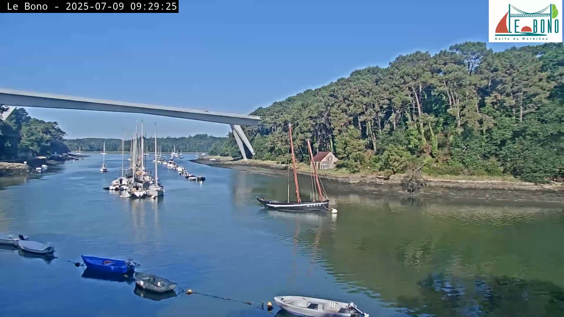 A calm body of water with numerous sailboats moored near a forested shoreline under a clear, sunny sky, and a bridge visible in the background.