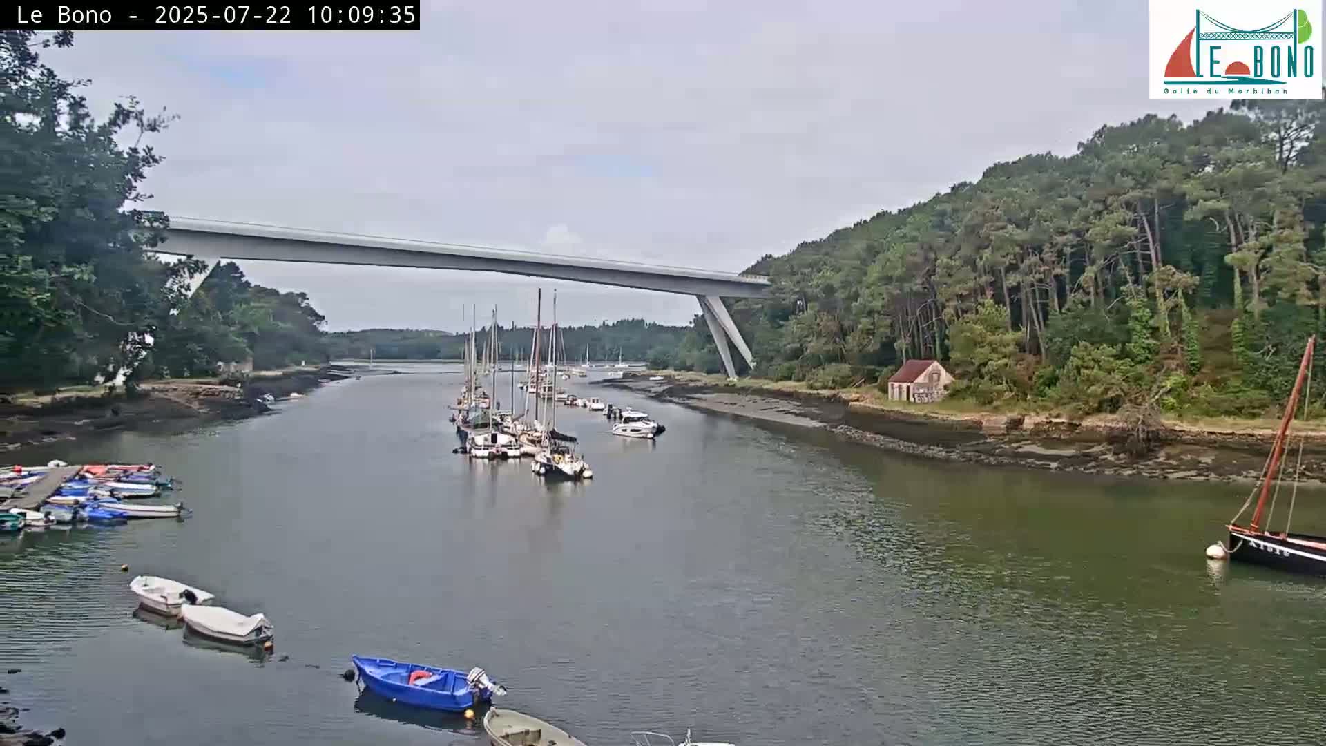 A calm river, under an overcast sky, is lined with boats moored near a modern bridge and a wooded shore.