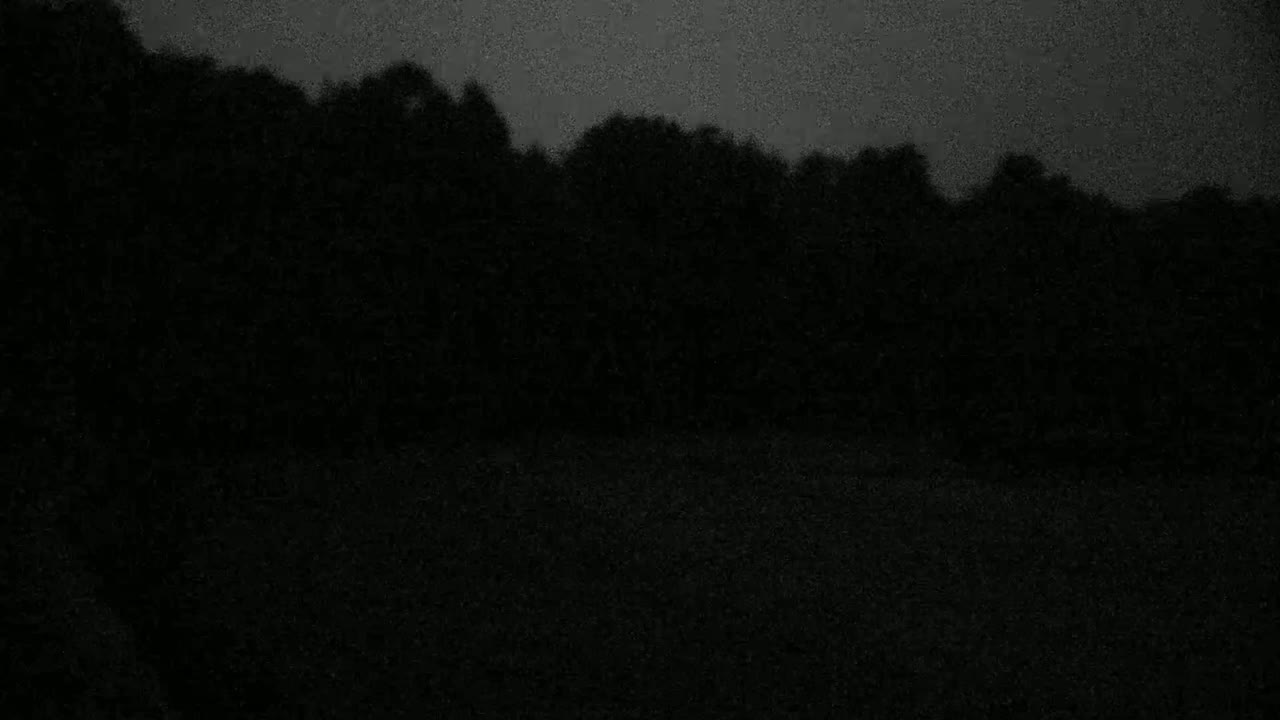 A dark, possibly overcast, outdoor scene shows a silhouetted line of trees against a gray sky.