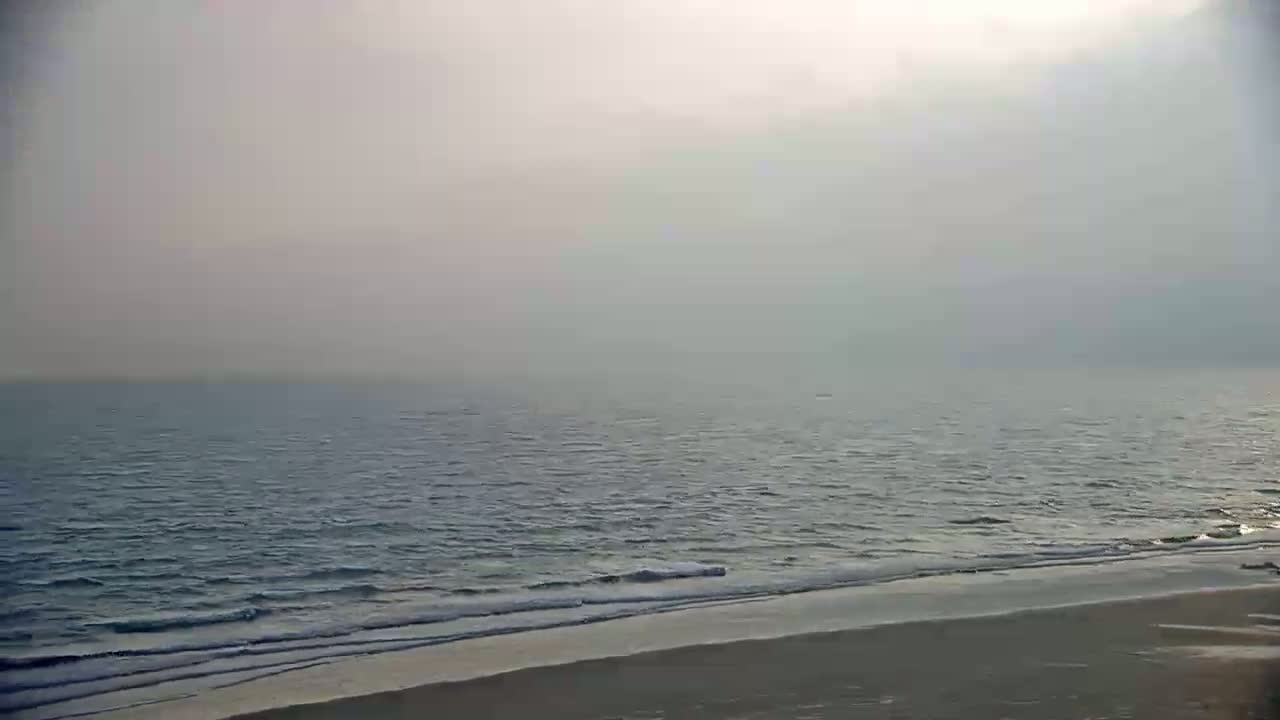 A hazy, calm ocean meets a sandy beach under a muted sky.