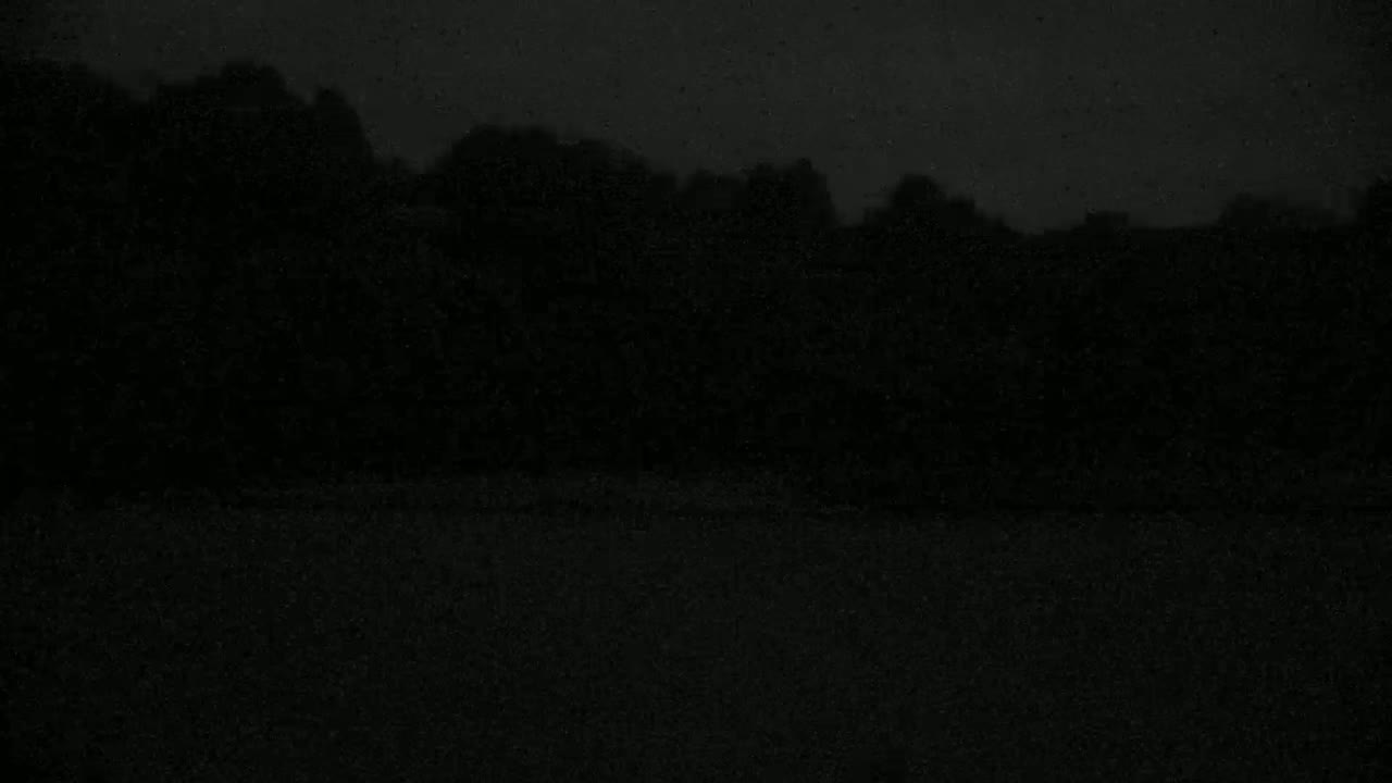 A dark, possibly nighttime, outdoor scene shows a line of trees silhouetted against a dark sky.