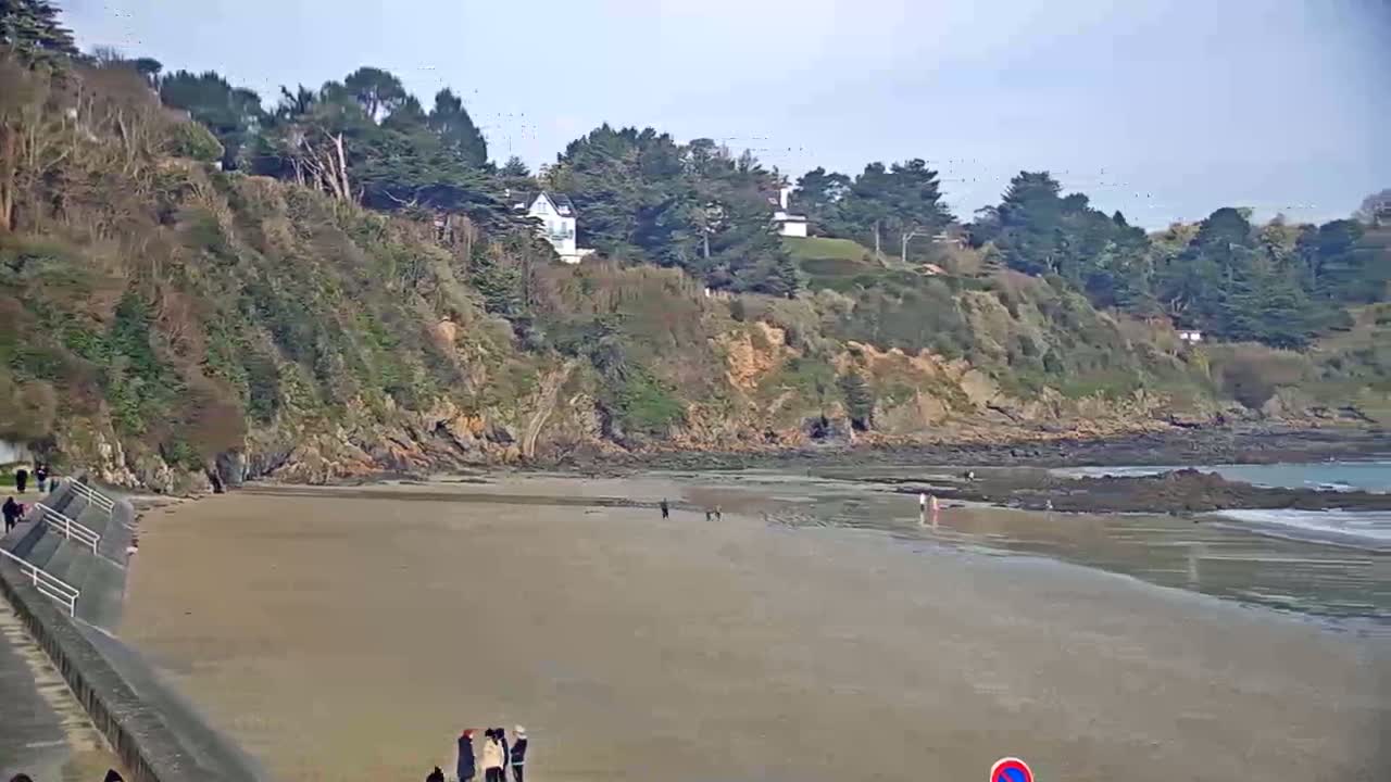 A sandy beach stretches out below a rocky cliff covered in trees and shrubs, under a bright, sunny sky.