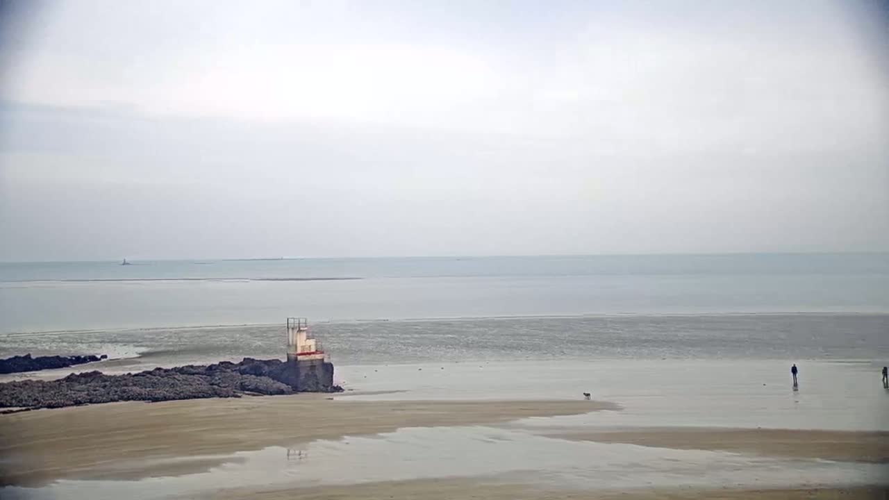 A calm, overcast day at a beach reveals a small structure on rocks near the shoreline, with two figures and a dog walking on the wet sand in the distance.
