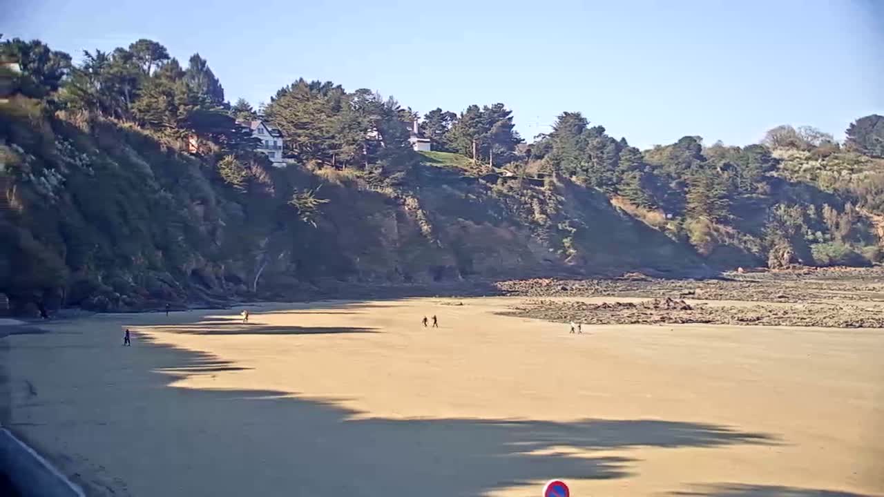 A sandy beach stretches out below a cliff lined with trees and houses, under a clear, sunny sky.