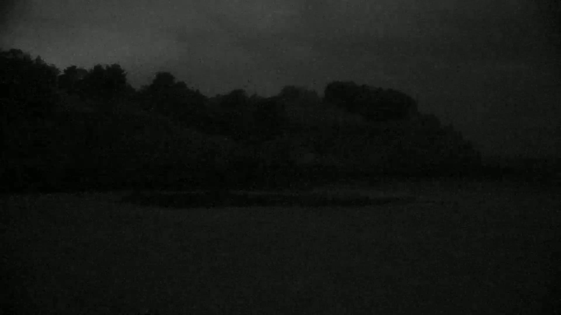 A dark, silhouetted line of trees is visible against an overcast sky above a flat, dark body of water.
