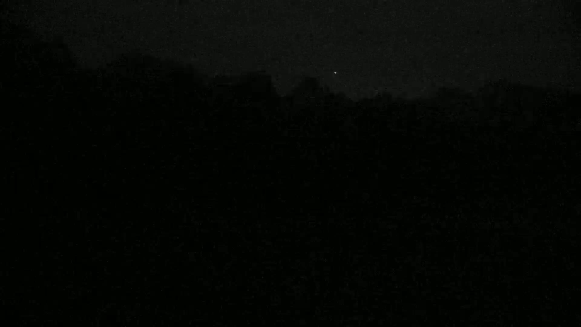 A dark, nighttime scene shows a silhouetted line of trees or vegetation under a mostly clear, starlit sky.
