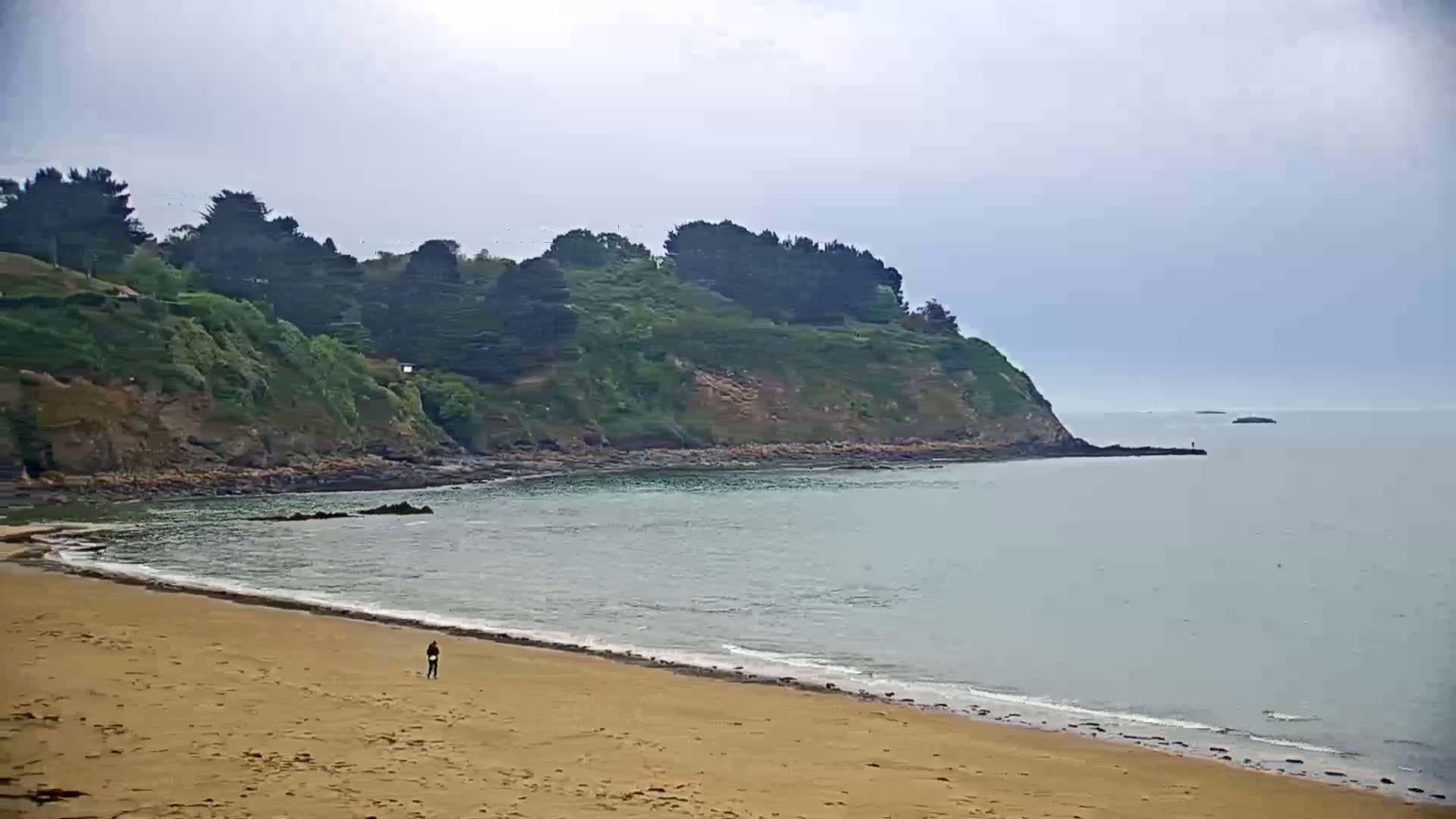 A person walks on a sandy beach by calm, light-grey water lapping at the shore, under a cloudy sky, near a rocky, green-covered headland.