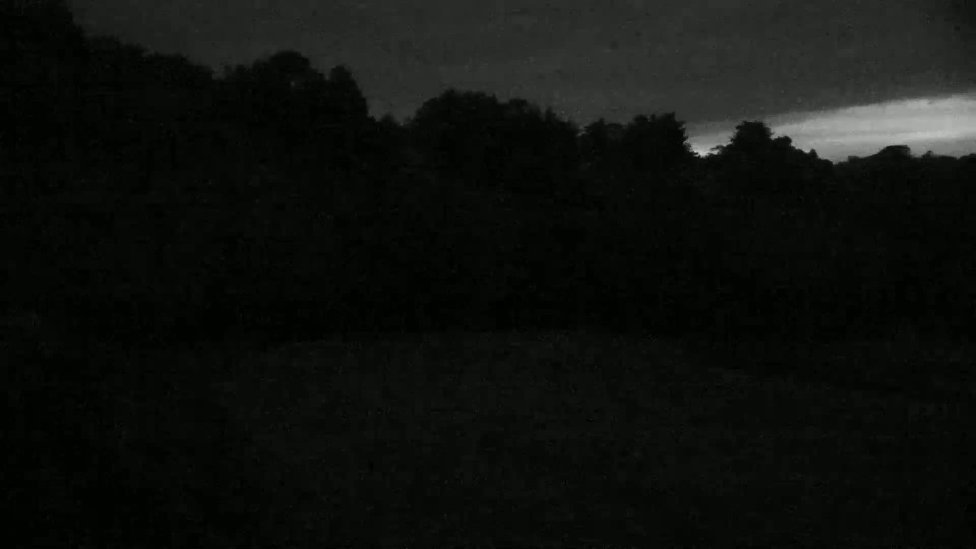 A dark, silhouetted line of trees is visible against a mostly dark, overcast sky at night.