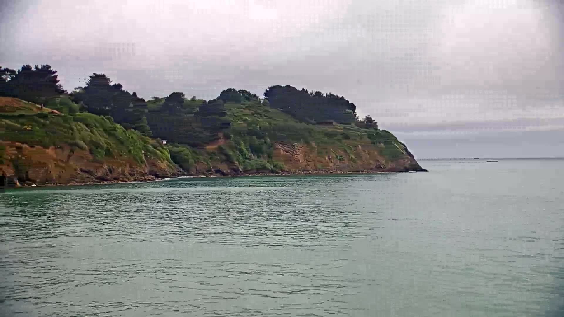 A verdant, tree-covered cliff overlooking a calm, green-tinged body of water under an overcast sky.
