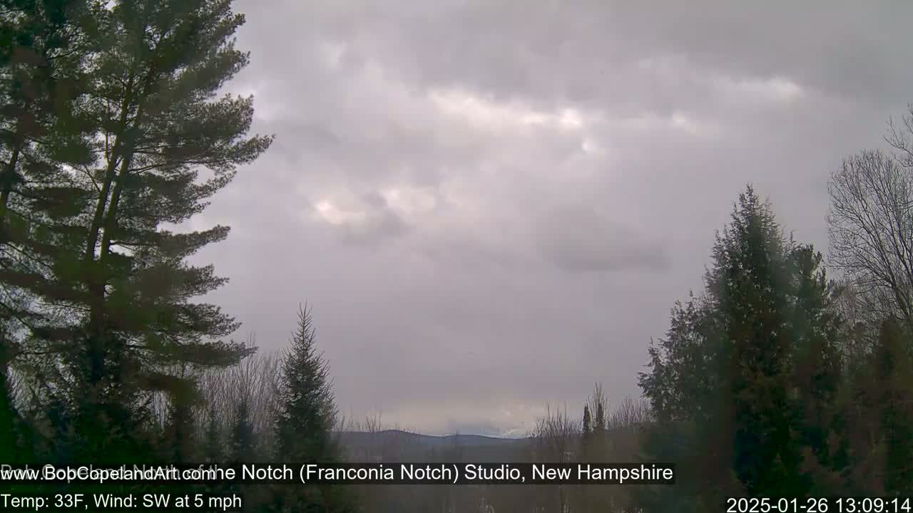 A view of a partly cloudy, overcast sky over a snow-dusted landscape of evergreens, with a slight southwest wind.