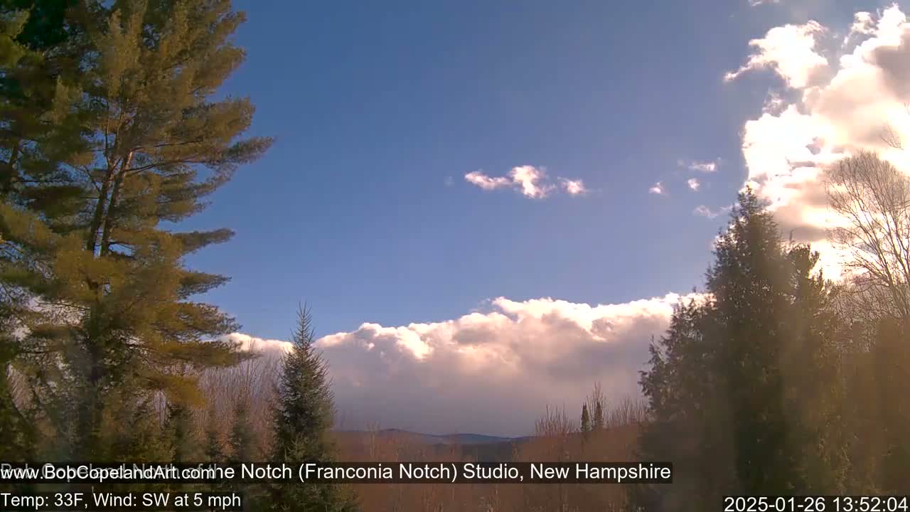 A partly cloudy, sunny day with a southwest wind at 5 mph is seen from behind evergreen trees, revealing a line of clouds over distant mountains.