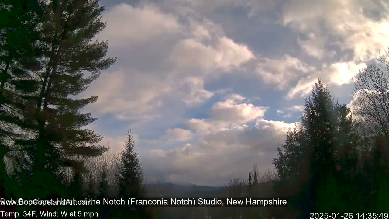 A partly cloudy sky with a light west wind is visible over a line of evergreen trees and distant mountains.