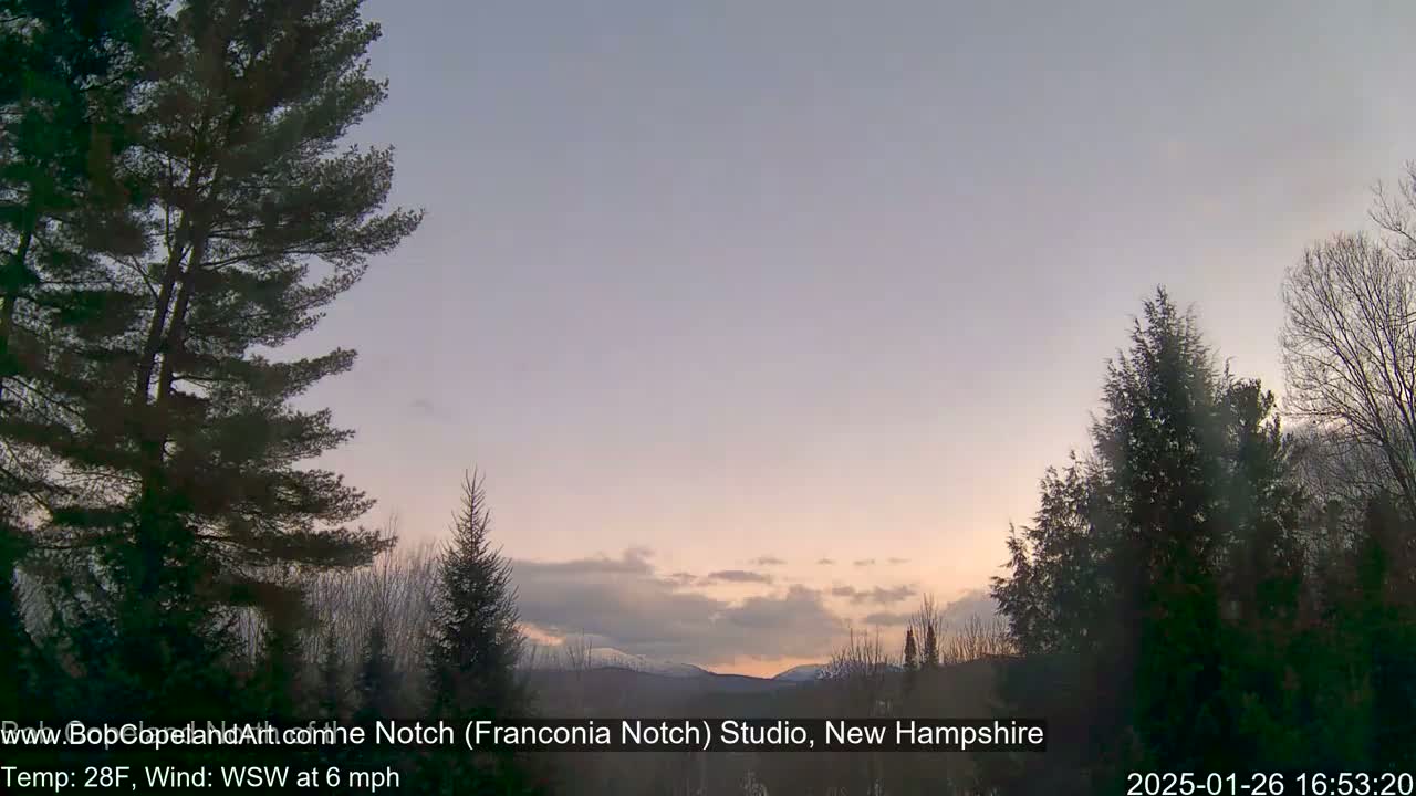 Here is a description of the image:  A twilight scene shows a line of snow-capped mountains in the distance, framed by dark evergreen trees under a pale pink and purple sky with some clouds.