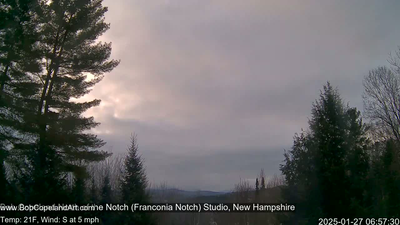 A mostly cloudy, pale sky over a winter landscape of evergreen trees, with a light wind.